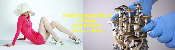 мяу мяу мука Семилуки